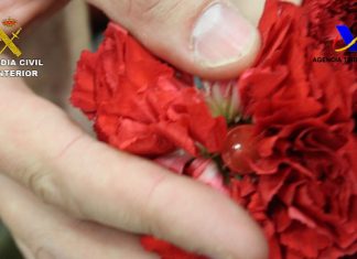 Desarticulada una organización que importaba cocaína oculta en flores frescas