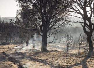 El Seprona investiga sobre el terreno para dar con la causa del fuego