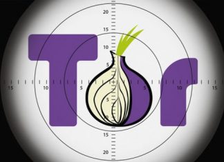 Tor te paga hasta 4.000 dólares por cada error que encuentres