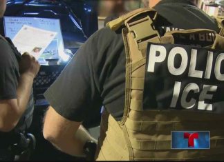 Casi 500 detenidos por ICE en operación en todo el país